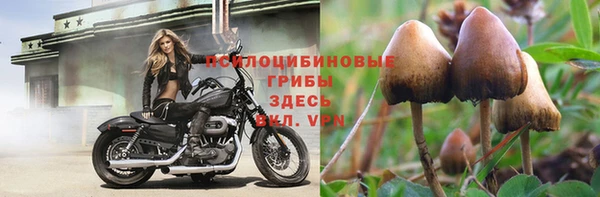 соль ск Осташков