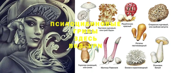 apvp Остров