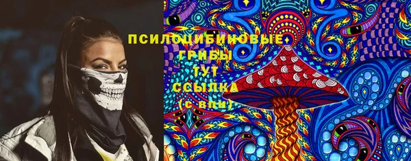 apvp Остров